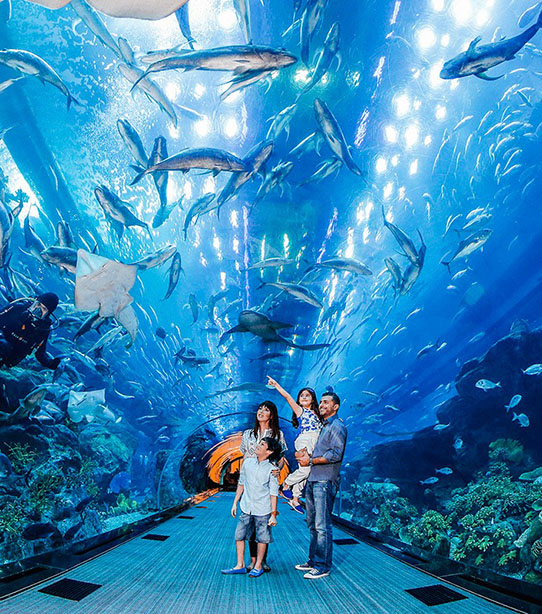 Dubai Aqurium and Underwater Zoo