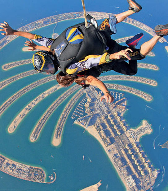 Sky diving Over palm