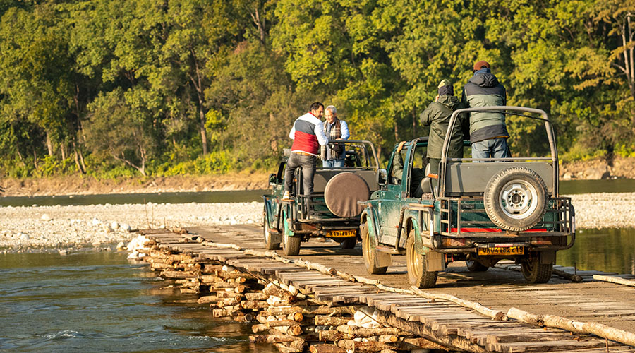 Jim corbett, best places to visit in January