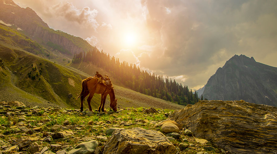 Kashmir in summer | best time to visit Kashmir