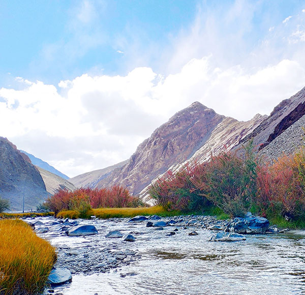 manali