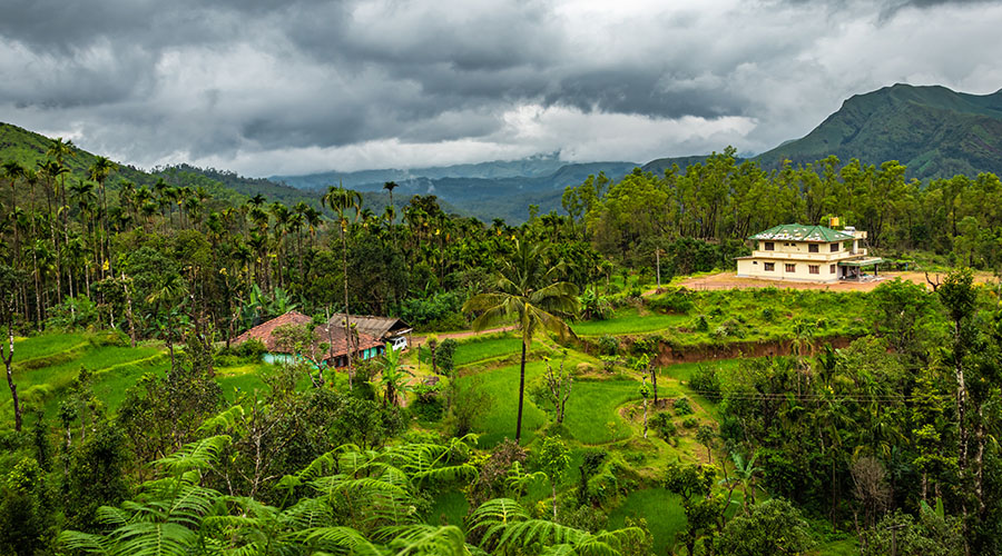 Coorg in July