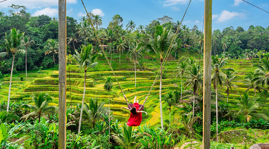 Famous Bali swing, 7 must-do activities in Bali