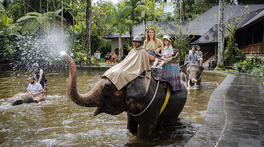 Elephant ride in Bali, 7 must-do activities in Bali